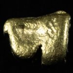 #11 Alaskan BC Natural Gold Nugget 1.56 Grams Genuine