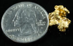 #1027 Natural Gold Nugget Australian 3.91 Grams Genuine - Image 2