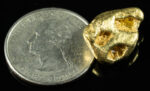 #375 Alaskan BC Natural Gold Nugget 11.33 Grams Genuine - Image 2