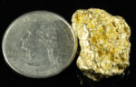 #379 Alaskan BC Natural Gold Nugget 14.97 Grams Genuine - Image 2