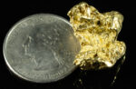 #384 Alaskan BC Natural Gold Nugget 12.47 Grams Genuine - Image 2