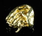 SP-30 Alaskan BC Dendritic Exotic Shaped Gold Nugget "Special Collection" .42 Grams