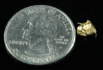 SP-30 Alaskan BC Dendritic Exotic Shaped Gold Nugget "Special Collection" .42 Grams - Image 2