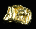 SP-29 Alaskan BC Dendritic Exotic Shaped Gold Nugget "Special Collection" .32 Grams