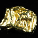 SP-29 Alaskan BC Dendritic Exotic Shaped Gold Nugget "Special Collection" .32 Grams