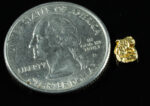 SP-29 Alaskan BC Dendritic Exotic Shaped Gold Nugget "Special Collection" .32 Grams - Image 2