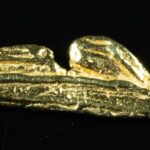 SP-31 Alaskan BC Dendritic Exotic Shaped Gold Nugget "Special Collection" .39 Grams