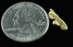SP-31 Alaskan BC Dendritic Exotic Shaped Gold Nugget "Special Collection" .39 Grams - Image 2