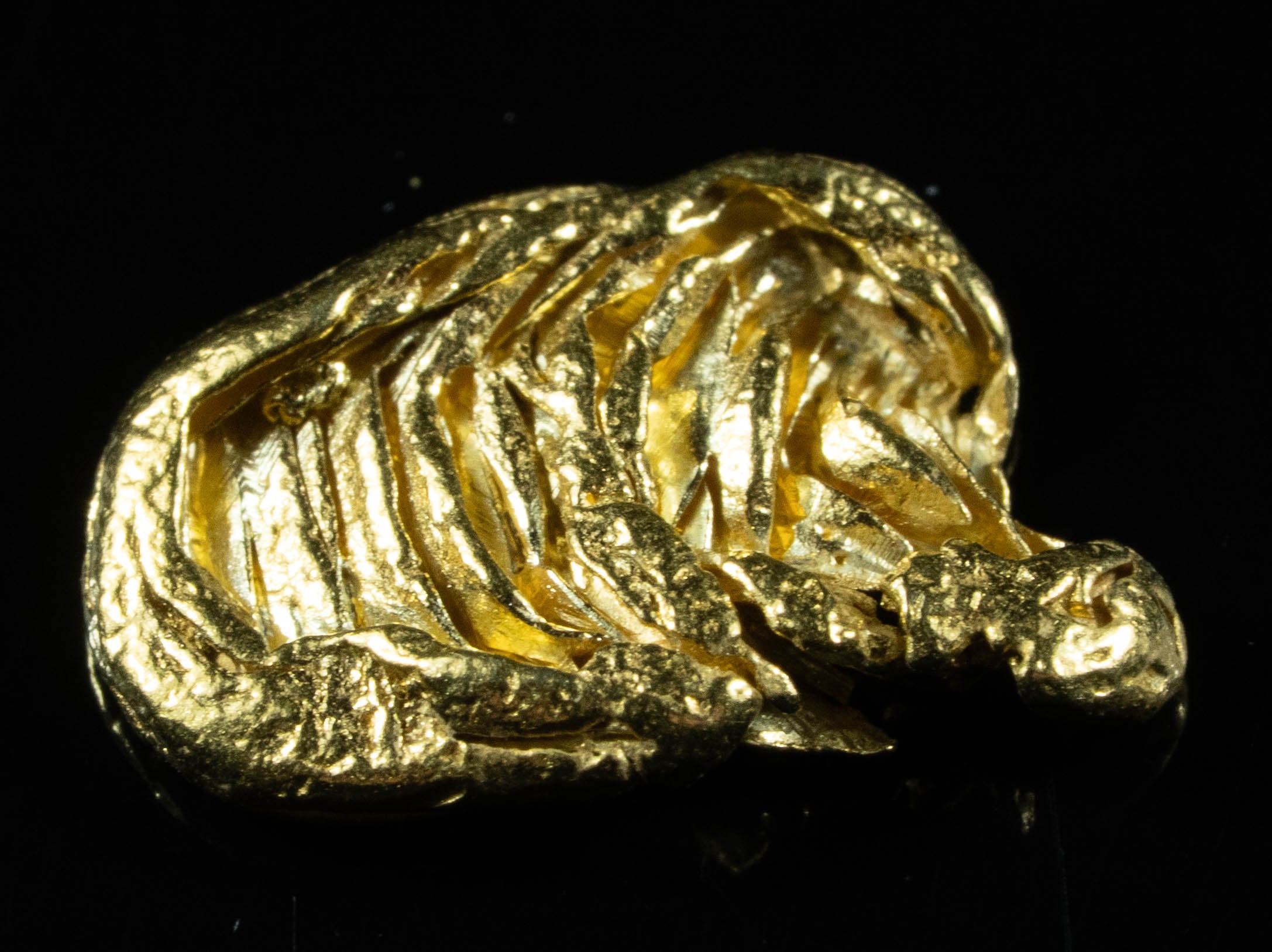 DSC06300.jpg SP-32 Alaskan BC Dendritic Exotic Shaped Gold Nugget "Special Collection" .91 Grams - Image 1