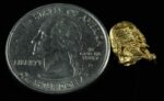 SP-32 Alaskan BC Dendritic Exotic Shaped Gold Nugget "Special Collection" .91 Grams - Image 2