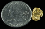 SP-33 Alaskan BC Dendritic Exotic Shaped Gold Nugget "Special Collection" .51 Grams - Image 2