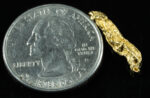 SP-34 Alaskan BC Dendritic Exotic Shaped Gold Nugget "Special Collection" 1.02 Grams - Image 2
