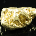 #552 Large Alaskan BC Gold Nugget 39.55 Grams Genuine