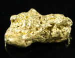 #555 Large Alaskan BC Gold Nugget 22.77 Grams Genuine