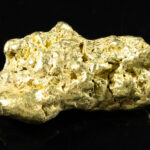 #555 Large Alaskan BC Gold Nugget 22.77 Grams Genuine