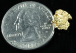#43 Alaskan BC Natural Gold Nugget 1.15 Grams Genuine - Image 2