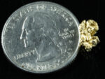 #48 Alaskan BC Natural Gold Nugget 1.13 Grams Genuine - Image 2