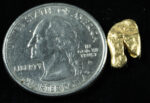 #65 Alaskan BC Natural Gold Nugget 1.50 Grams Genuine - Image 2