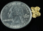 #78 Alaskan BC Natural Gold Nugget .79 Grams Genuine - Image 2