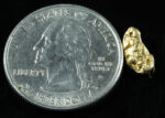 #104 Alaskan BC Natural Gold Nugget .86 Grams Genuine - Image 2
