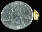 #105 Alaskan BC Natural Gold Nugget .79 Grams Genuine - Image 2