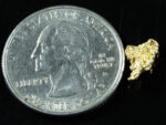 #107 Alaskan BC Natural Gold Nugget .65 Grams Genuine - Image 2