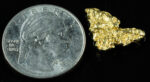 #194 Alaskan BC Natural Gold Nugget 3.25 Grams Genuine - Image 2