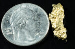 #222 Alaskan BC Natural Gold Nugget 2.16 Grams Genuine - Image 2