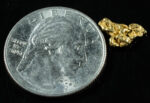 #24 Alaskan BC Natural Gold Nugget .80 Grams Genuine - Image 2