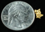 #32 Alaskan BC Natural Gold Nugget .41 Grams Genuine - Image 2