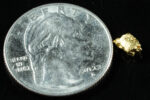 #67 Alaskan BC Natural Gold Nugget .58 Grams Genuine - Image 2