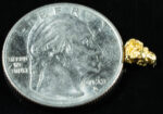 #69 Alaskan BC Natural Gold Nugget .43 Grams Genuine - Image 2