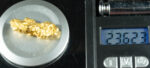 #1231 Natural Gold Nugget Australian 23.62 Grams Genuine - Image 4