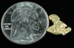 #90 Alaskan BC Natural Gold Nugget 1.56 Grams Genuine - Image 2