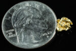 #92 Alaskan BC Natural Gold Nugget .76 Grams Genuine - Image 2