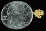 #95 Alaskan BC Natural Gold Nugget .46 Grams Genuine - Image 2