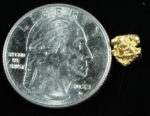 #103 Alaskan BC Natural Gold Nugget .71 Grams Genuine - Image 2