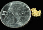 #109 Alaskan BC Natural Gold Nugget .71 Grams Genuine - Image 2