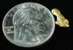 #119 Alaskan BC Natural Gold Nugget .97 Grams Genuine - Image 2