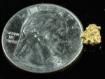 #123 Alaskan BC Natural Gold Nugget .60 Grams Genuine - Image 2