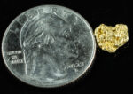 #125 Alaskan BC Natural Gold Nugget .74 Grams Genuine - Image 2