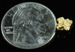 #134 Alaskan BC Natural Gold Nugget .66 Grams Genuine - Image 2