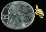 #142 Alaskan BC Natural Gold Nugget .73 Grams Genuine - Image 2