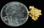 #927 Natural Gold Nugget Australian 2.50 Grams Genuine - Image 2