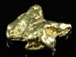 #453 Alaskan BC Natural Gold Nugget 11.76 Grams Genuine