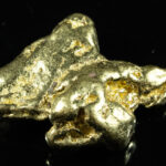 #453 Alaskan BC Natural Gold Nugget 11.76 Grams Genuine