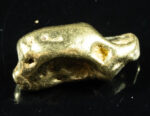 #468 Alaskan BC Natural Gold Nugget 12.13 Grams Genuine