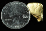 #440 Alaskan BC Natural Gold Nugget 8.69 Grams Genuine - Image 2