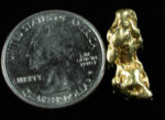 #442 Alaskan BC Natural Gold Nugget 6.03 Grams Genuine - Image 2