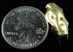 #447 Alaskan BC Natural Gold Nugget 9.46 Grams Genuine - Image 2